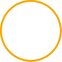 minerva insights circulos-09