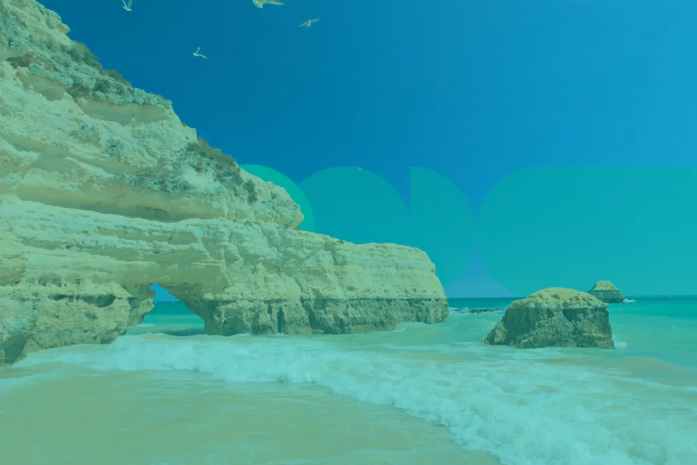 Tourism and Social Media 2025 insights