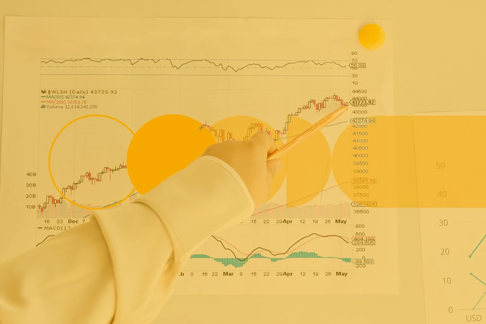 Sales Index 2025 geomarketing system