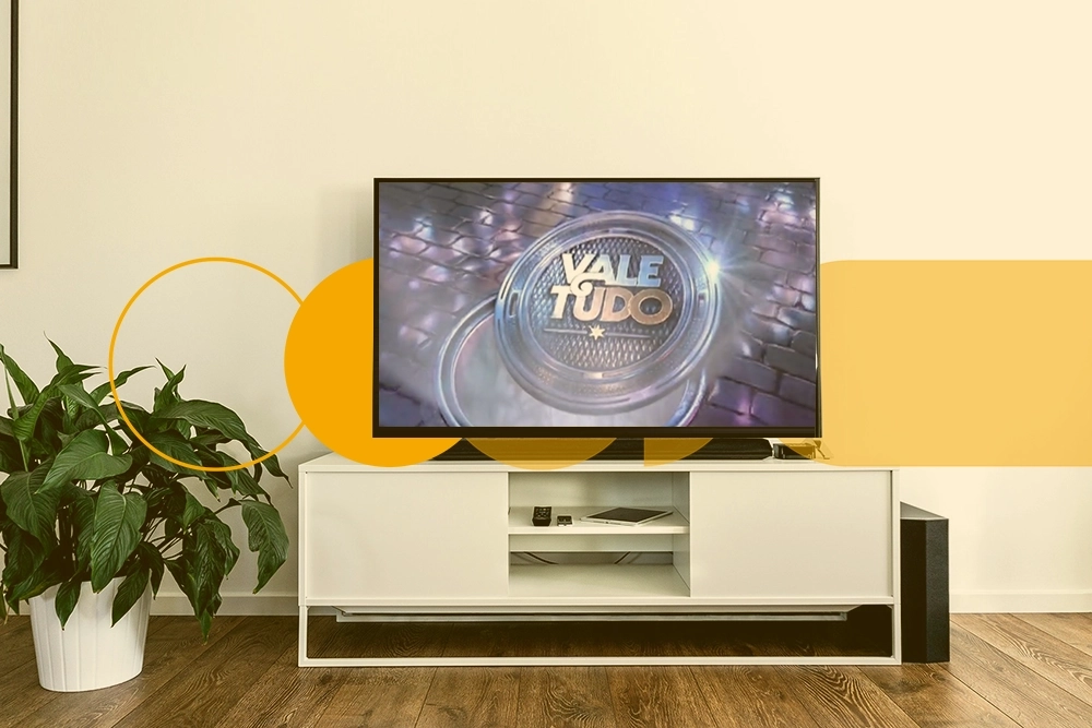 Vale tudo entertainment brands